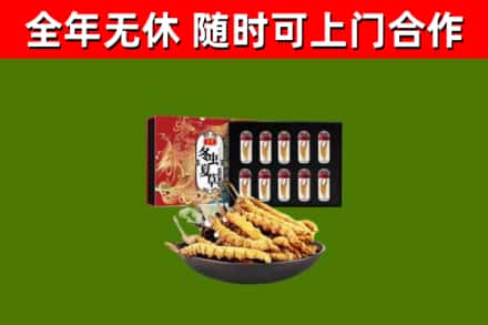 永春烟酒回收冬虫夏草礼盒.jpg