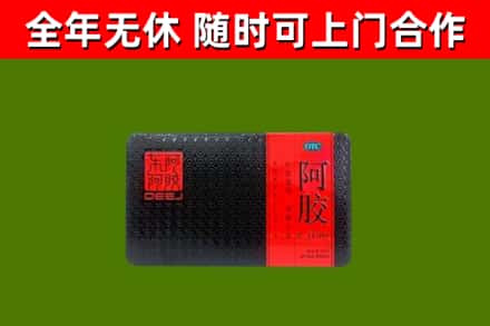 永春回收阿胶